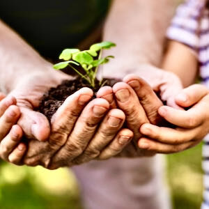 Tending Our Faith