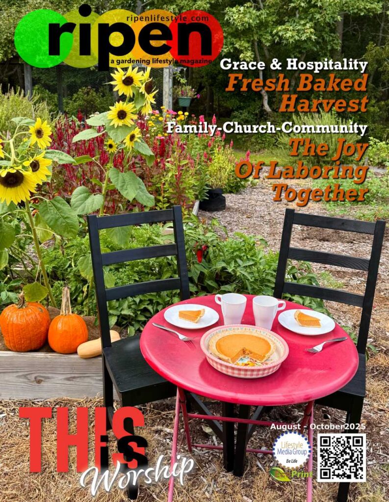 August-October 2025 issue cover image.