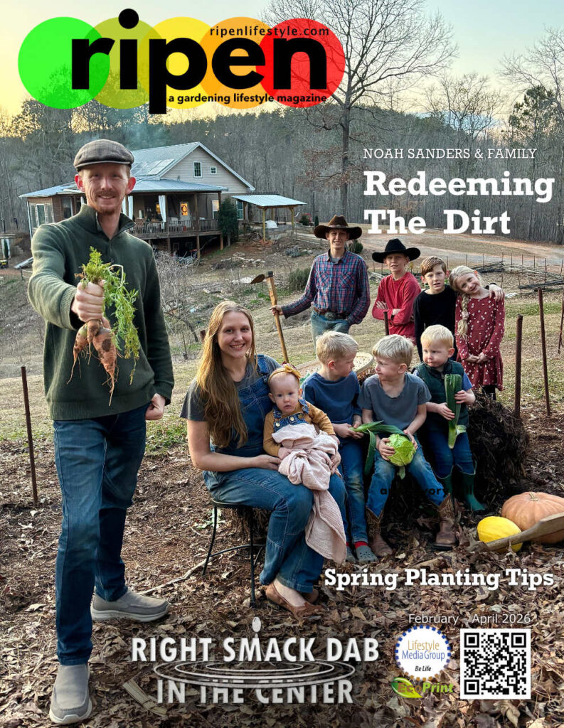 February-April 2026 issue cover image.